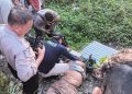 Korban Ditabrak Kereta Api Meninggal Dunia